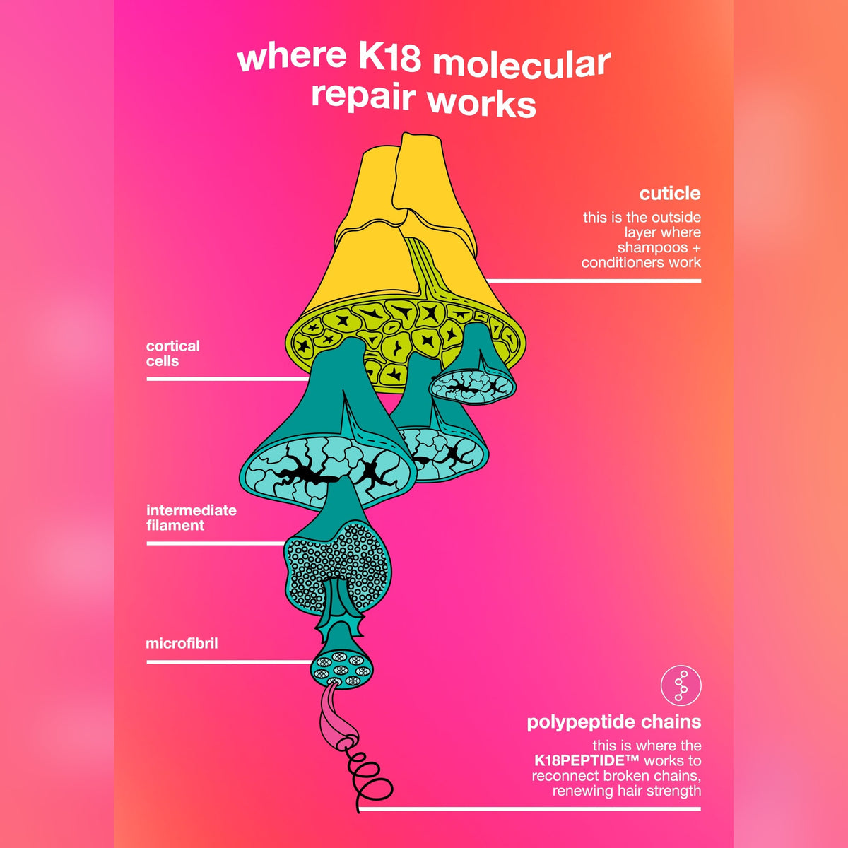 K18 x Future Society leave-in molecular hair mask 50ml
